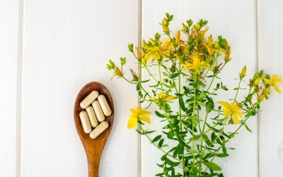 Ưu và nhược điểm của 10 thành phần thường gặp trong thực phẩm chức năng