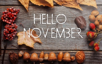 Tử vi tháng 11/2019: Bọ Cạp có cơ hội phát triển sự nghiệp