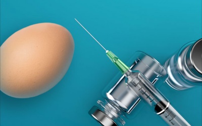 Có nên tiêm phòng cúm khi bị dị ứng trứng?