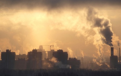 Biện pháp tự nhiên thanh lọc cơ thể, chống lại ô nhiễm không khí