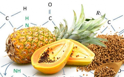 Khó tiêu khi ăn nhiều thịt, có thể bạn cần các enzyme phân giải protein