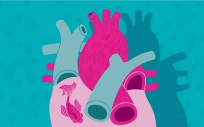 Chỉ cách chung sống với rung nhĩ hiệu quả