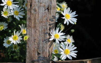 Thời tiết cả nước những ngày cuối tháng 11 như thế nào? 