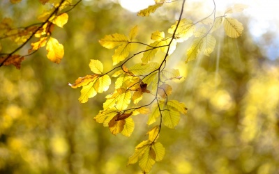 Thời tiết ngày 23/11: Bắc Bộ nắng ráo, Nam Bộ cẩn thận triều cường