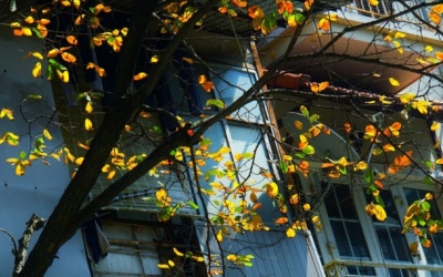 Thời tiết ngày 5/12: Bắc Bộ tiếp tục rét và khô hanh