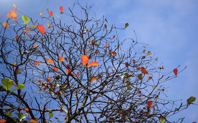 Thời tiết ngày 7/12: Bắc Bộ tiếp tục rét đậm