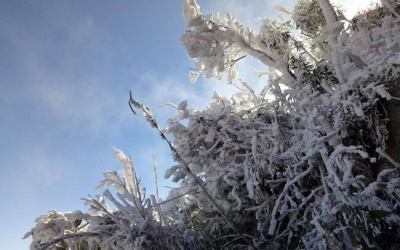 Thời tiết ngày 12/12: Bắc Bộ tiếp tục có băng giá và sương muối