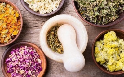 Vai trò của Đông y trong hỗ trợ điều trị hồi hộp, tim đập nhanh