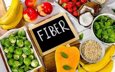 Chất xơ và vai trò của chất xơ đối với hệ tiêu hóa của trẻ là gì?