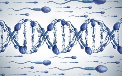 Phát hiện đột phá về loại gene đột biến gây vô sinh ở nam giới