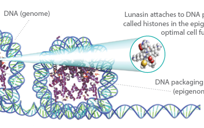 Sản phẩm có ứng dụng lunasin là sản phẩm gì, công dụng như thế nào? 