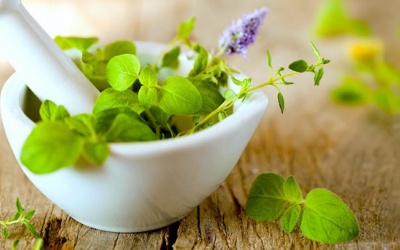 Một số loại thảo dược tốt cho người bệnh sa van 2 lá