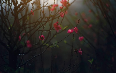 Thời tiết cả nước từ ngày 28/12 đến ngày 6/1 như thế nào?