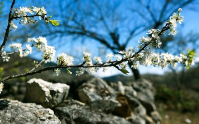 Thời tiết ngày 7/1: Bắc Bộ giảm mưa, thời tiết ấm áp