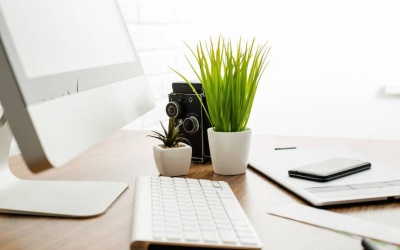 Video: 5 lợi ích của việc trồng cây cảnh trong nhà