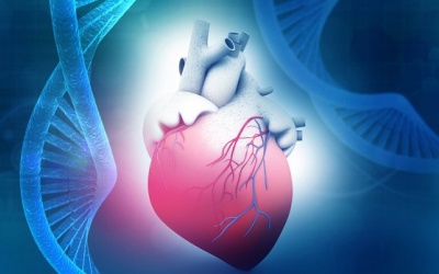 Bệnh cơ tim là gì và các dạng bệnh cơ tim thường gặp