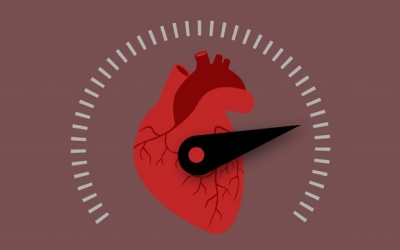 Rối loạn nhịp tim nhanh trên thất: Một nguyên nhân làm tim đập nhanh