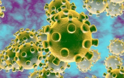 Phát hiện 2 ca đầu tiên dương tính với virus nCoV  ở Việt Nam