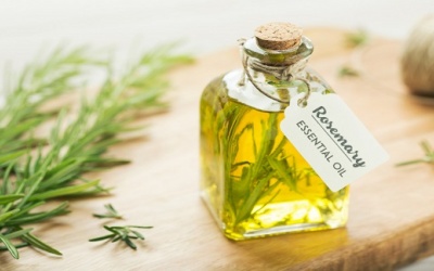 Cách dùng tinh dầu hương thảo chăm sóc da, tóc và sức khỏe tổng thể