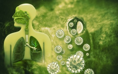 Làm sao bảo vệ mình khỏi novel coronavirus (nCoV), chủng virus mới gây viêm phổi cấp?