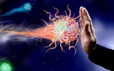 Tăng cường sức đề kháng, hỗ trợ phòng bệnh trong mùa dịch