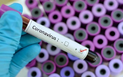 Australia tuyên bố đột phá mới trong việc kiềm chế sự lây lan của virus nCoV