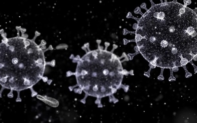 Làm thế nào để phân biệt giữa cảm lạnh, cúm và nhiễm Sars-CoV-2?