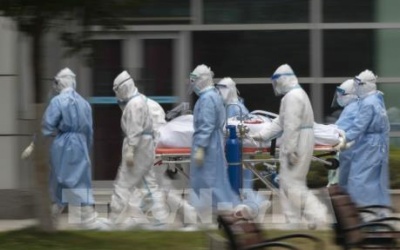 Vì sao COVID-19 nguy hiểm với người bị tiểu đường, tim mạch, hen suyễn?