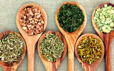 Y học cổ truyền đóng góp được gì trong phòng chống COVID-19