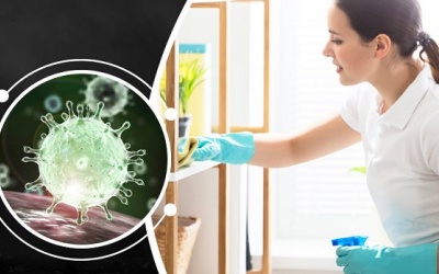 Dọn dẹp nhà cửa thế nào để ngăn ngừa mầm bệnh?