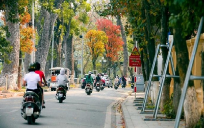 Dự báo thời tiết đêm 20/3 và ngày 21/3: Miền Bắc hửng nắng dịp cuối tuần