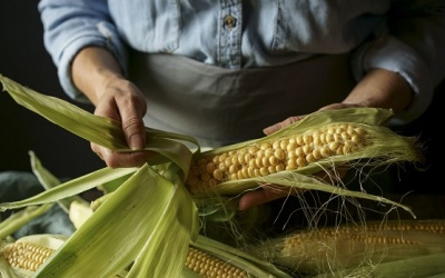 Người bệnh đái tháo đường có ăn được ngô không?