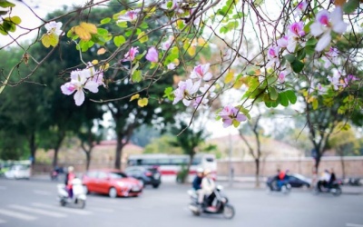 Dự báo thời tiết đêm 27/3 và ngày 28/3: Cuối tuần thời tiết Hà Nội trời nhiều mây, đêm có mưa rào và dông vài nơi, ngày nắng