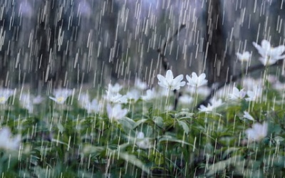 Dự báo thời tiết đêm 1/4 và ngày 2/4: Bắc Bộ trời nhiều mây, đêm và sáng sớm có mưa