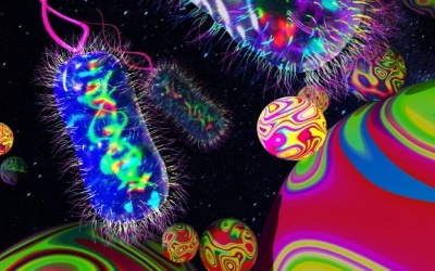 Thiết bị mới giúp phát phát hiện nhanh siêu vi khuẩn có hại trong máu