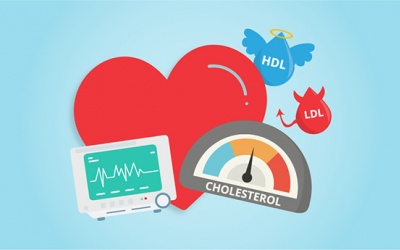 Chuyên gia giải thích: Mỡ máu cao ảnh hưởng thế nào tới cơ thể?