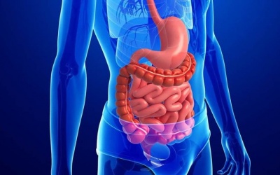 5 thực phẩm “vàng” giúp tăng cường hệ tiêu hóa