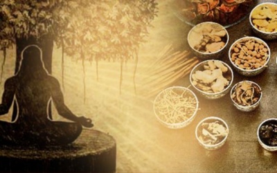 Người Ấn Độ phòng ngừa Covid-19 bằng thực hành Ayurveda