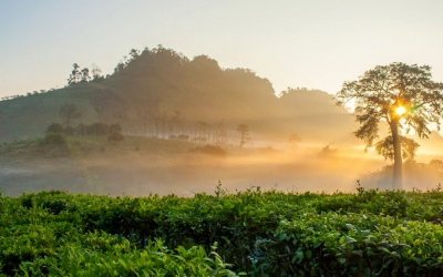Dự báo thời tiết đêm 27/4 và ngày 28/4: Miền Băc nắng nóng quay trở lại