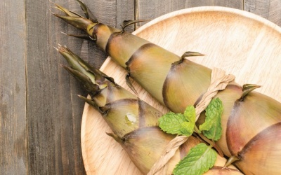 Đây là lý do bạn nên ăn măng tre mỗi tuần