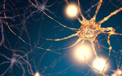 Bệnh Parkinson: Tình trạng tự miễn có thể đóng vai trò quan trọng