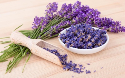 Mách bạn cách làm dầu gội hoa oải hương và dầu dừa đơn giản tại nhà