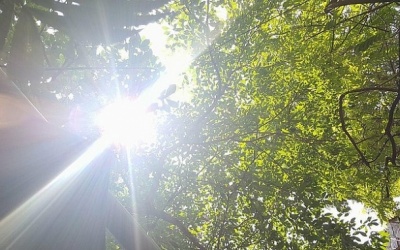 Dự báo thời tiết đêm 5/5 và ngày 6/5: Nắng nóng cả ngày dài trên phạm vi cả nước