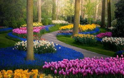 Ngắm khu vườn hoa đẹp nhất thế giới nở rộ giữa đại dịch ở Châu Âu