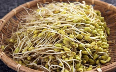 Mắt sáng, dáng xinh nhờ ăn giá đỗ