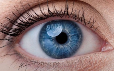 Bổ sung ngay những thực phẩm này vào chế độ ăn để chăm sóc đôi mắt của bạn