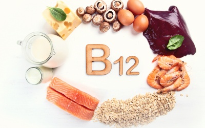 Những loại thực phẩm là nguồn cung cấp vitamin B12 lý tưởng