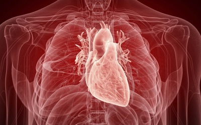 Mối liên hệ giữa chứng viêm với ung thư và Covid-19