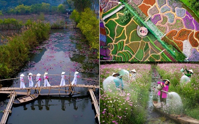 Việt Nam ghi dấu ấn trong những khoảnh khắc tuyệt đẹp của Mùa Xuân 2020