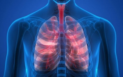 5 cách giữ cho phổi khỏe mạnh